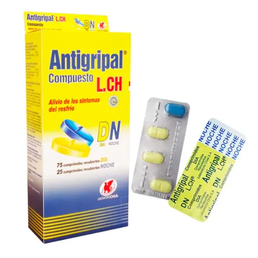 Antigripal Lch Compuesto Día Y Noche X Blister